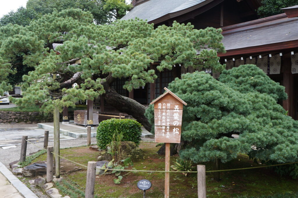 熊本自由行｜熊本城倒了！最適合親子的一日遊路線攻略
水前寺