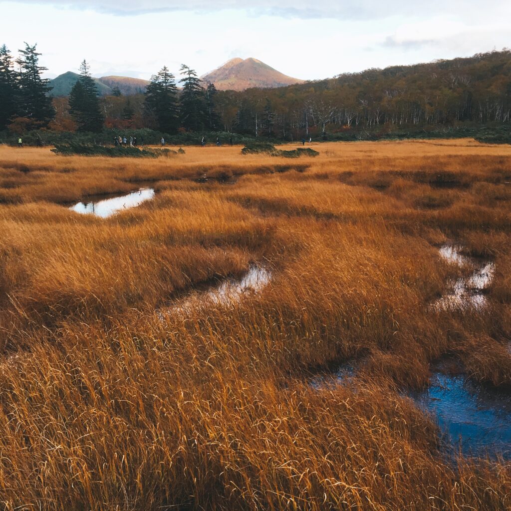 北海道秘境神仙沼